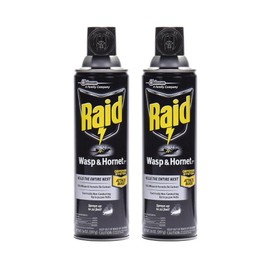 Raid Wasp Hornet Killer Spray 14 Ounce (Pack of 2)