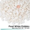 GASPRO 10 lbs White Pebbles for Plants, Vases, and Landscaping