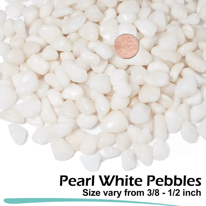 GASPRO 10 lbs White Pebbles for Plants, Vases, and Landscaping