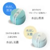 Cold Brew Tea Bag, Tea Gift, Present, Souvenir, Sencha, Gyokuro,