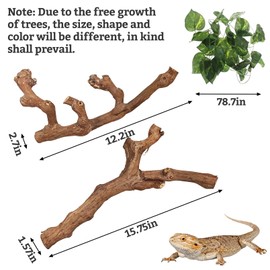 VCEPJH Snake Climbing Branch, 2Pcs Reptile Wood Natural Cork Log Tank Accessories Tree Trunk for Chameleon Bearded Dragon Gecko Snake Frog Spider