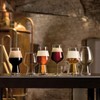 Luigi Bormioli Birrateque 18.25 oz IPA Beer Glasses (Set of