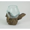 Things2Die4 Blown Molten Glass On Teak Driftwood Decorative Bowl/Mini Terrarium