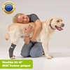 Nature Pet Sprunggelenk Schutz Bandage 165° Winkel für Hunde/Tarsalgelenk Bandage