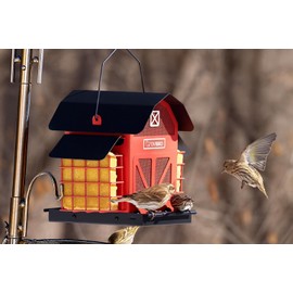 Bird Feeders for Outdoors Hanging, 5LBS Large Bird Feeder with 2 Suet Cage, Red Barn Metal Birds Feeder for Outside, Weather Resistant Cardinal Feeders, ldeal Birds Watching Gifts (Red)