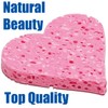 Calypso Natural Love Sponge