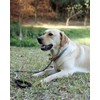 lynxking Recall Lead for Dogs, Dog Lead, Slip Lead for