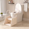 3 in 1 Potty Training Toilet Seat & Toddler Step