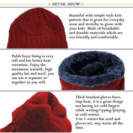 T WILKER 3Pcs Winter Hats Neck Warmer Scarf and Touch Screen Gloves Set for Kids (Wine Red)