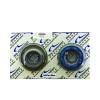 USA Industries 4L80E Transmission Hi-Per Blue Bonded Clutch Piston kit