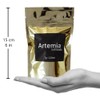 Gun Kan 2 Artemia, 2 Tubifex Y 1 Alimentador