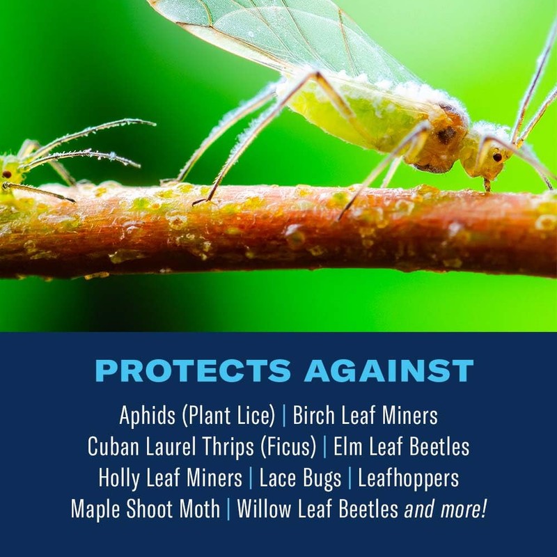 BioAdvanced 2-In-1 Systemic Rose and Flower Care, Granules, 5 lb