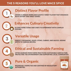 SPICY ORGANIC Mace Whole (Javantri) – 2 oz (57 g), USDA Certified Organic Mace Spice, 100% Raw, Non-GMO, Vegan, Gluten-Free – Enhance Dishes with Rich, Aromatic Flavor - Myristica Fragrans