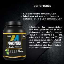 Maximus Protein Cla  Carnitina 1kg 100 Servicios Varios                                                                                               