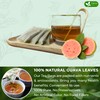 FreshDrinkUS, Premium 135 Guava Leaf Tea Bags, Handmade, From Great