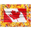CANADA TRUE Maple Ceylon Tea (25 Tea Bags 50g)