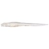 Megabass HAZEDONG 5 Inch Live Wakasagi
