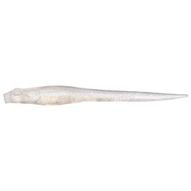 Megabass HAZEDONG 5 Inch Live Wakasagi
