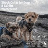Dog Shock Collar - Exclusive Shock-Prohibition Lock Mode, Dog Training