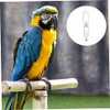 Comedero para Loros Bebedero De Plástico Accesorio para Aves Diseño