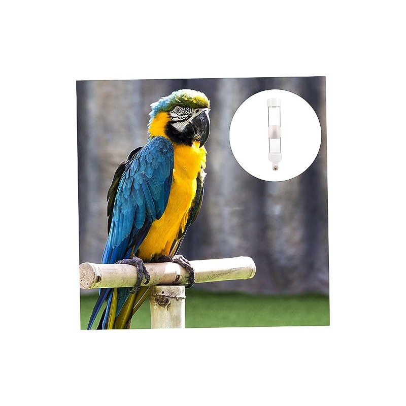 Comedero para Loros Bebedero De Plástico Accesorio para Aves Diseño