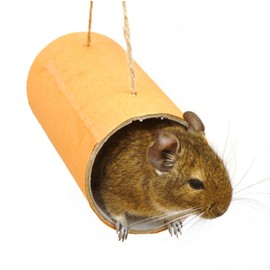 Chewchewbs Totally Degu 4 pack (Orange)