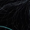 Cast Net, Casting for Bait Fish Casting Net with Float