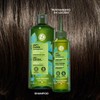 Yves Rocher Tratamiento capilar Anticaspa: Shampoo Anticaspa (300 ml) +
