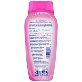 Vagisil Odor Block Protection Wash For Sensitive Skin for Women Protection Wash 12 oz