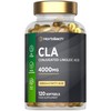 CLA Capsules 4000mg | 120 Softgels | High Strength Supplement