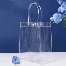 Clear PVC Tote Bag 10-Piece Set (20x25cm)