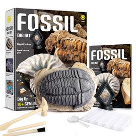 Byncceh Mega Fossil Dig Kit - Excavate 12 Prehistoric Fossils, Shark Teeth, Dinosaur Poop, Fossil Fish, Paleontology Educational STEM Science Toys for Kids Gifts for Girls & Boys