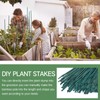 Suclain 50 Pcs 4 Feet Bamboo Stakes for Plant Support