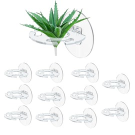 MiDube 12 PCS Air Plants Holder with Self-adhesive Backing, Clear Wall Mounted Stand Foldable Hanger for Live Plant Home Office Decoration, No Drilling Required