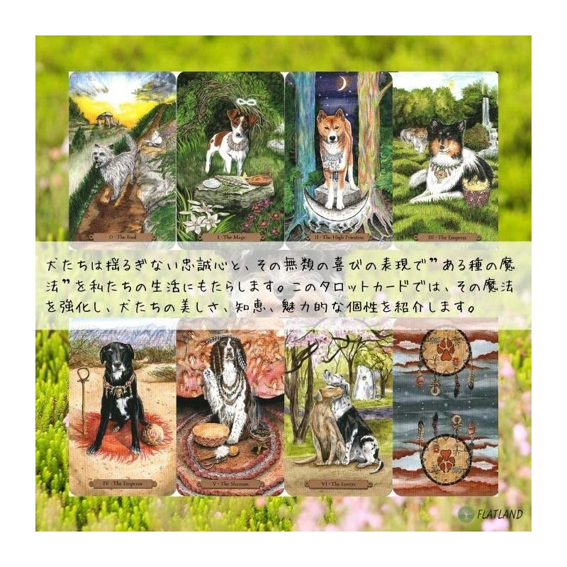 Magical Dogs Tarot [Special Box] [With Tarot Divination Manual]