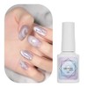 Luciol Magnet Gel Nail Color Gel Effect Powder Nuance Magnet