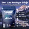 Dr.Thomps Premium Gold Himalayan Shilajit Gummies I Lab Tested I