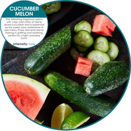 Fresh Products Eco Bowl Clip Air Freshener Versatile Design Toilet Freshener Trash Freshener Chemical Free Natural Oils Discreet Lasts 30 Days Made in the USA Cucumber Melon 12 pk