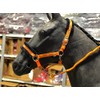 Equipride Horse Print Faux Lined Nylon Headcollars with Matching Lead