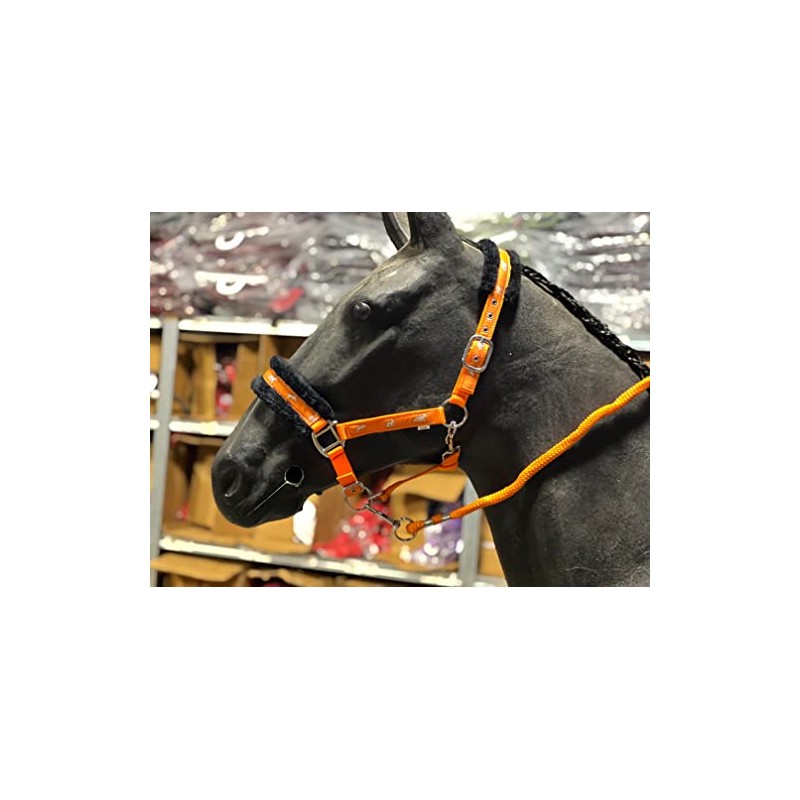 Equipride Horse Print Faux Lined Nylon Headcollars with Matching Lead