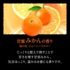 Kao Bub Blissful Citrus Meguri Bath, Carbonated, Bath Salt, Pack
