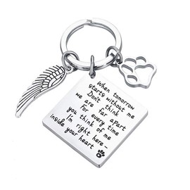 Pet Bereavement Memorial Remembrance Gift - When Tomorrow Starts Without Me Paw Prints Keychain Dog Cat Loss Gifts for Pet Owner Sympathy Gifts