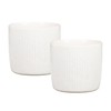 Scheurich Solido Linea, Set of 2 Ceramic Flower Pots, Colour:
