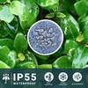 SOLPEX 16 Pack Solar Outdoor Lights Pathway, Stainless Steel Solar