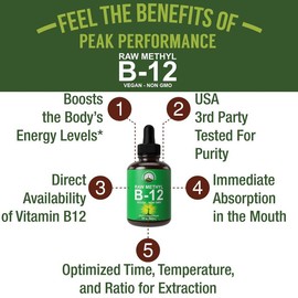 Raw Whole Food Methyl B12 Liquid | Supports Energy, Brain Function & Nervous System Health | Vegan, Natural, High Absorption Liquid Supplement