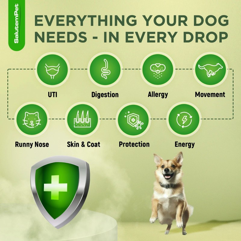 Salutempet Dog Antibiotics for Infection, Cough, & UTI | Herbal,