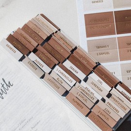 Decorative Bible Tabs for Women (96 Pieces)  Earth Tone Neutral Gold Foil Bible Tabs - Laminated Bible Labels Tabs  Remove & Replace Bible Index Tabs - Bible Study Supplies for Women (Dune) - Color: Berry