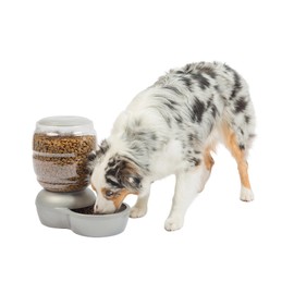 Petmate Replendish Pearl White 10 lb Dog Cat Feeder,Grey, Made in USA