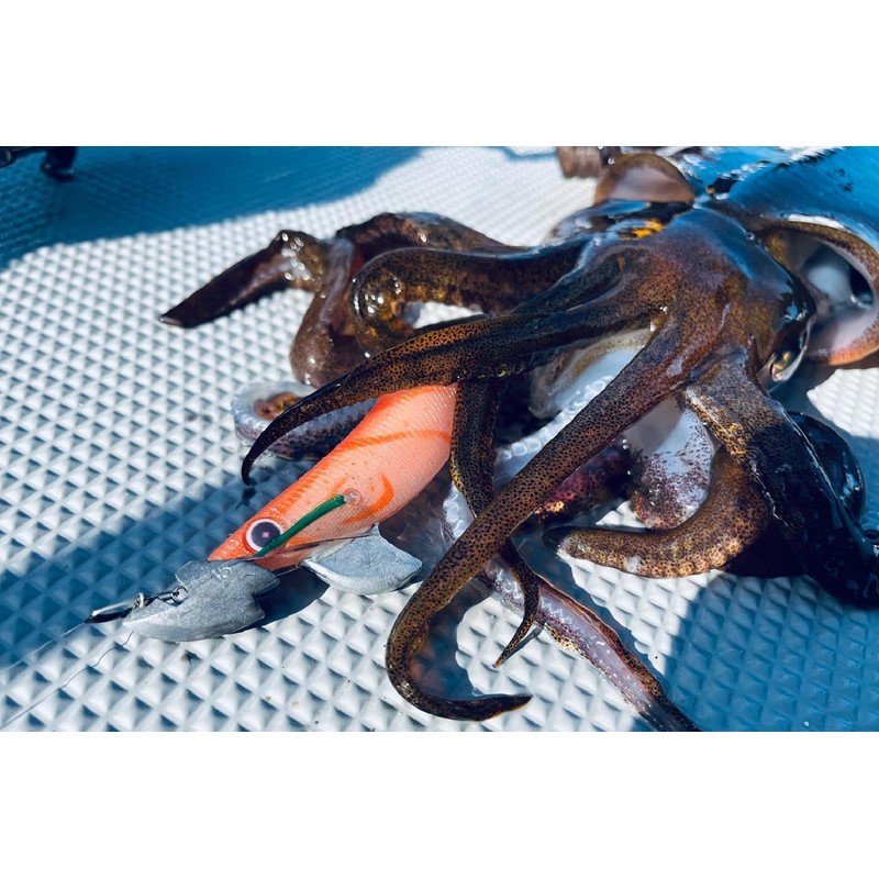 Hayabusa FS511 Squid Junkie Perfect Sinker, 0.5 oz (15 g),