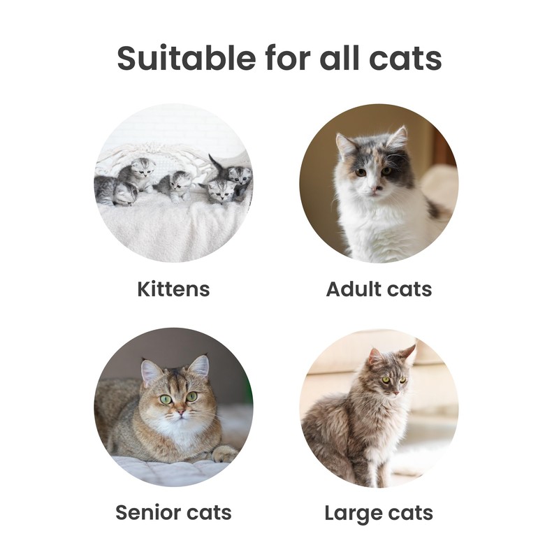 PawsPik Stainless Steel Cat Litter Box with Steps & Metal